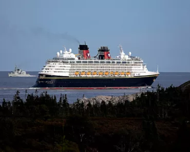 8 Good Jobs on Disney Cruise Ship: Catagories